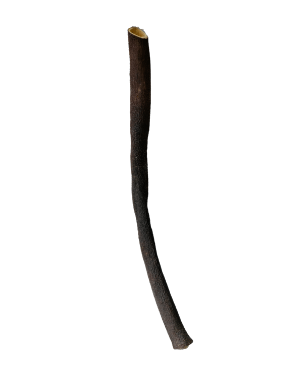 mtshingo seaweed