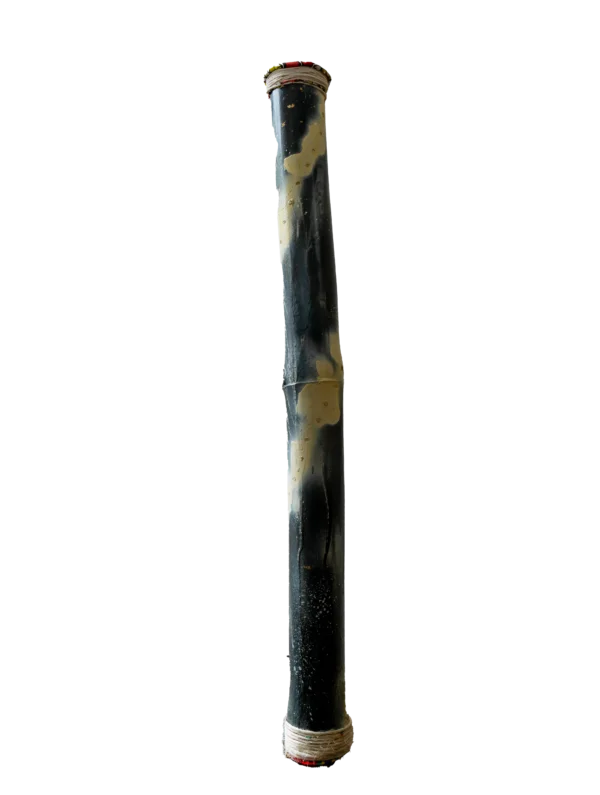 rainstick