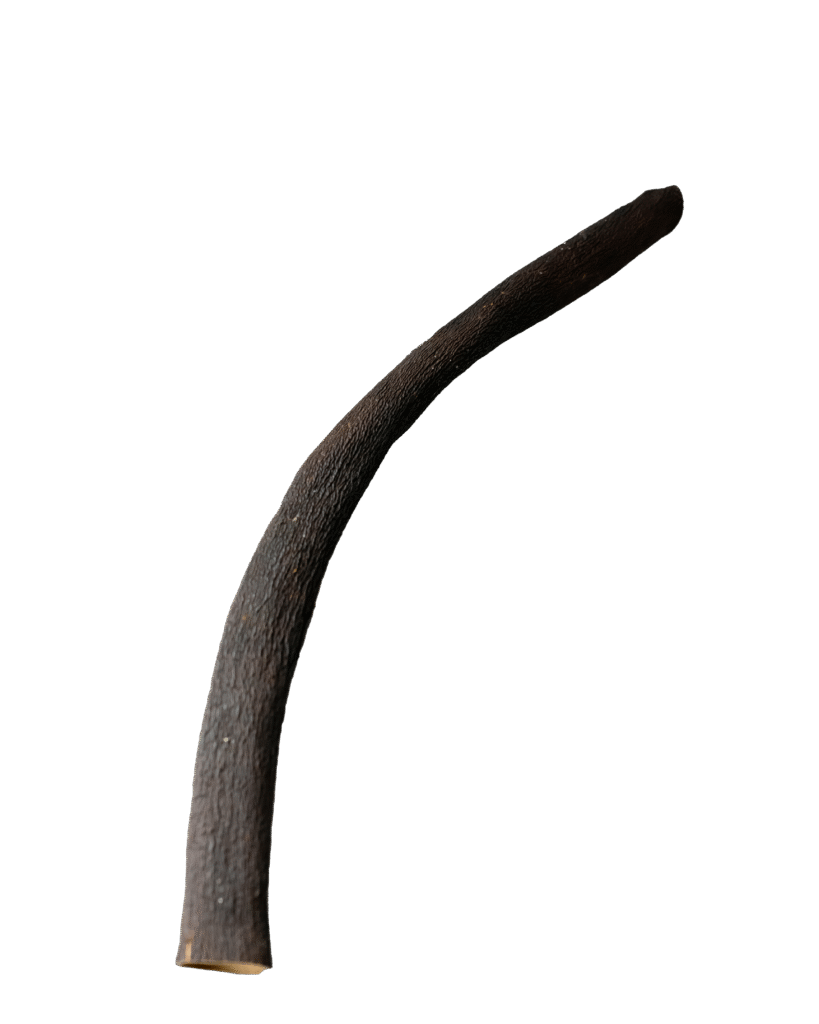 mtshingo seaweed