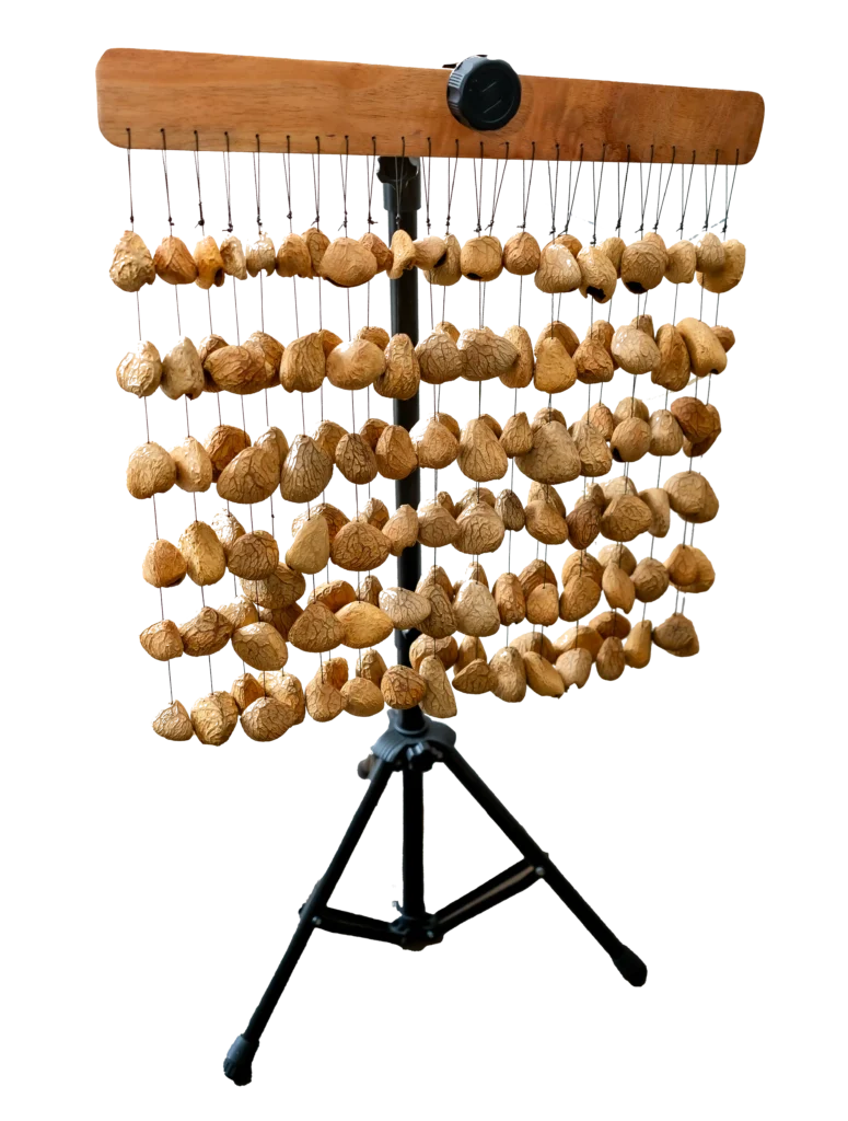 Tone shell chimes