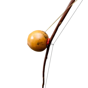 Umakhweyana braced bow